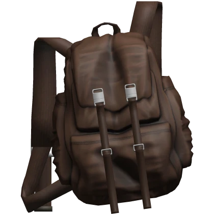Brown Backpack