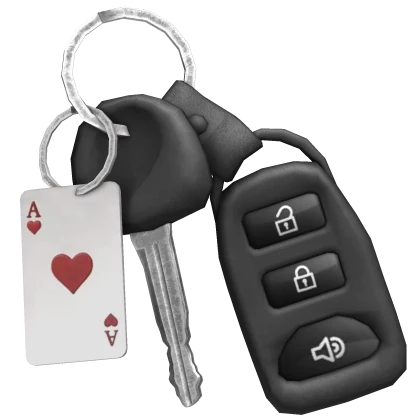 black car keys w/ card keychain