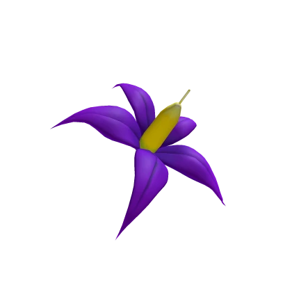 Nightshade Flower