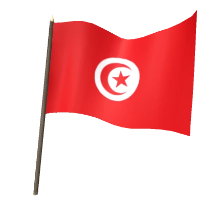 Flag of Tunisia