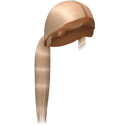 Sleek Low Ponytail