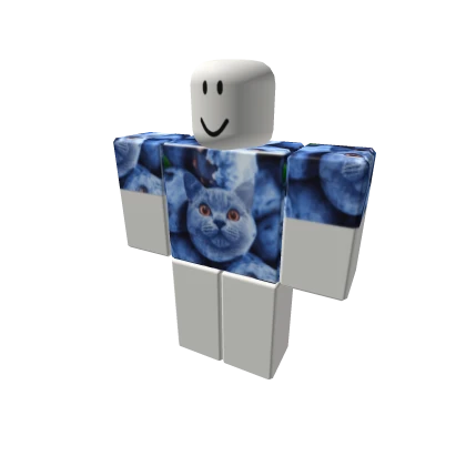blueberry cat shirt