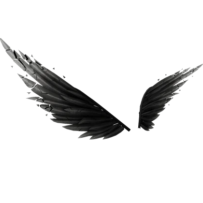 Offwhite Dark Outlaw Wings [ b1 ]