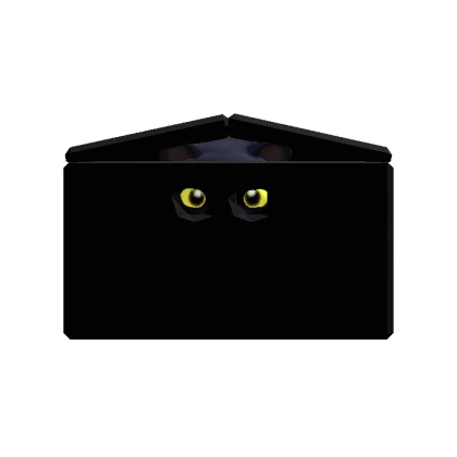 Yellow Eyed Black Cat in a Box