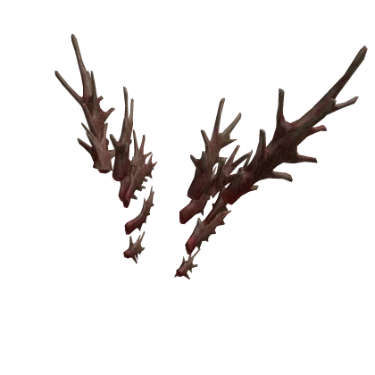 Flesh Spines Extension