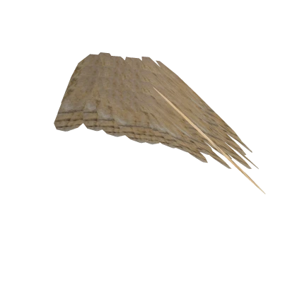 Barn Owl Tail