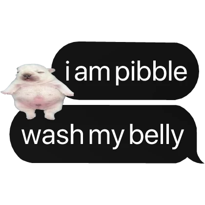 i am pibble belly meme text