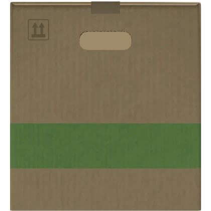 Big Box Disguise Suit