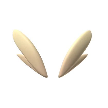 Big Brown Fighting Bunny eyebrows