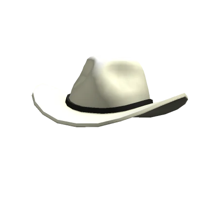 Fabulous Cowboy Hat