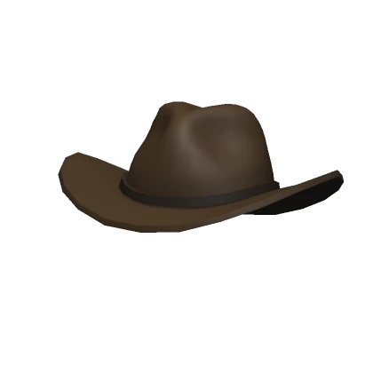 Brown Cowboy Hat