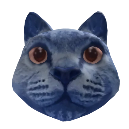 [⌛]Blueberry Cat Head 