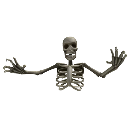 Necromancer Skeleton Guard(Back)