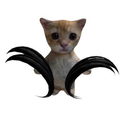 El Gato On The Head With Hair