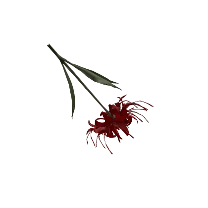 red spider lily snack ♡ 石蒜