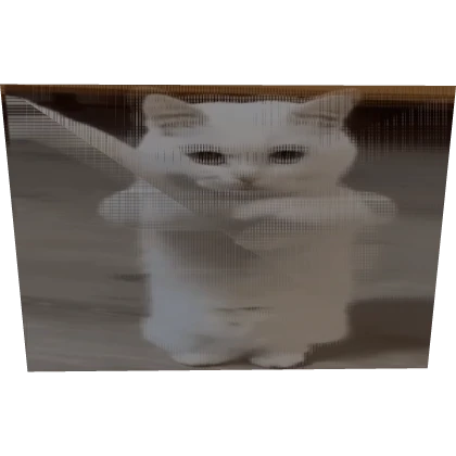 Dancing Cat Animated Box