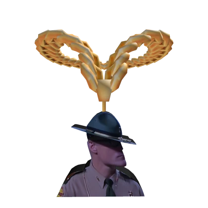 BodyCam Off Since Vietnam Cop Chain