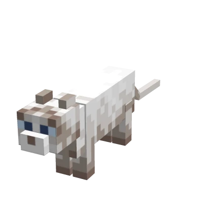 Mini Ragdoll Cat Suit [2X Less]
