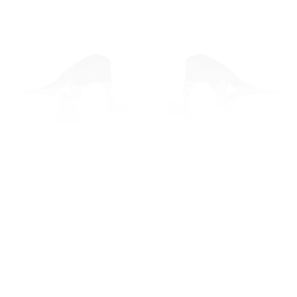 Wings of Spawn Point (White)