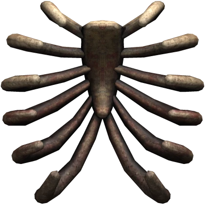 Open Exposed Ribcage