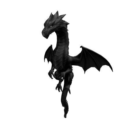 Pet Dragon Black