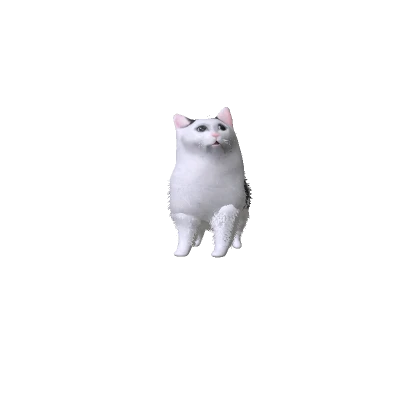 Huh Cat