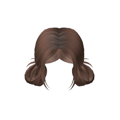 Messy Low Buns in Brown