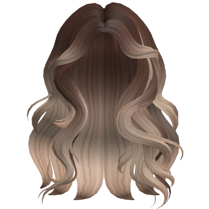 Super Fluffy Wavy Long Hairstyle Brown to Blonde