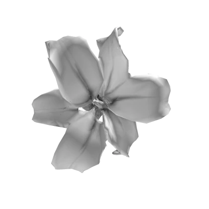 snow white lily eye patch 百合花♡