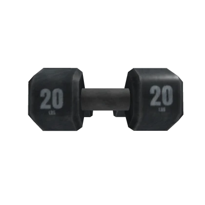 💪 20 Pound Dumbbell/Weight [Waist/Holdable] 💪