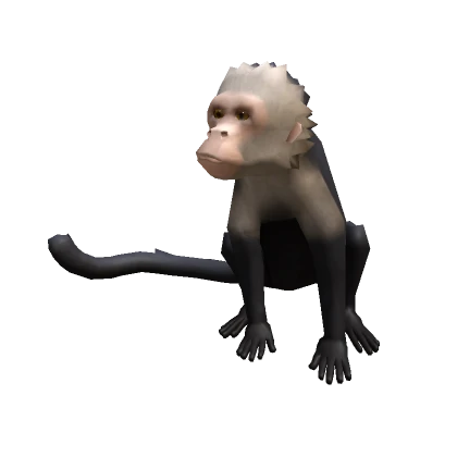 Monkey Companion (1.0 Hat Attach)