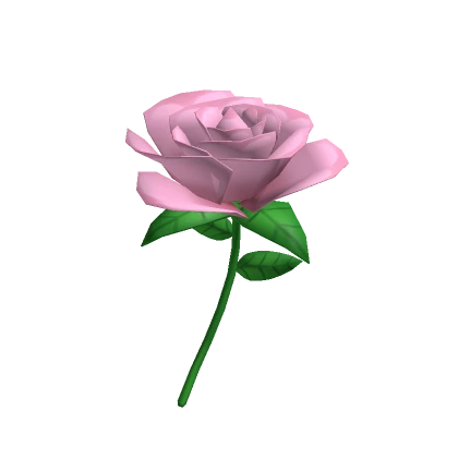 Pink Rose