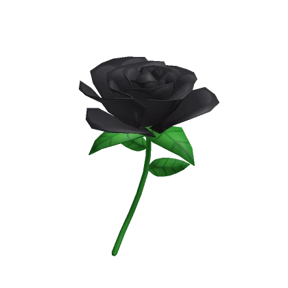 Black Rose