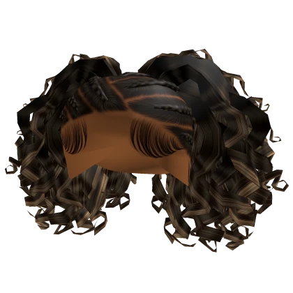 Braids with Curls [brown & blonde]