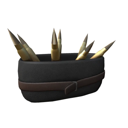 Assault rifle bullet bag