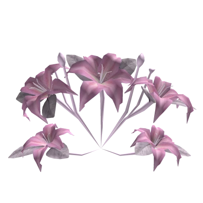 Pink Lily Flowers Garden