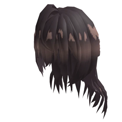 Long Dark Brown Hair