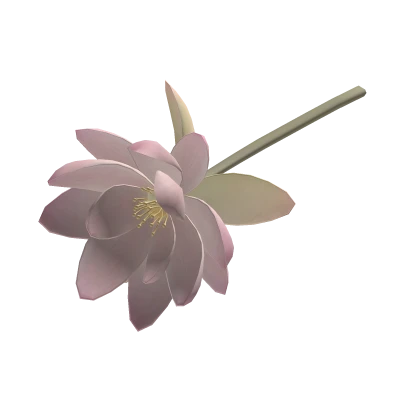 𑁍 lotus flower in mouth ; nana inspired