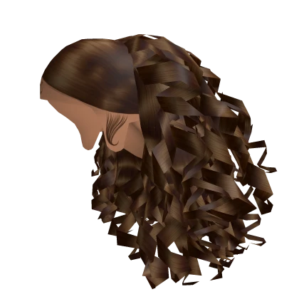 Curly Sleek Middle Part [Brown]