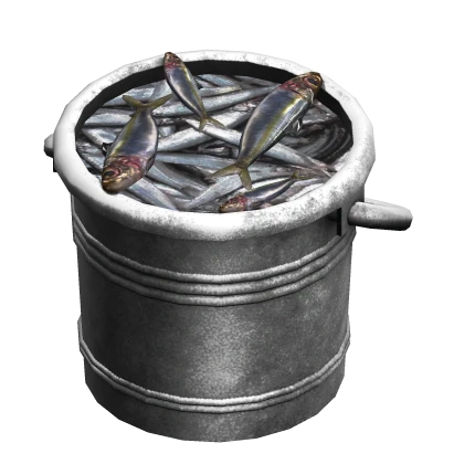 Fish In Bucket
