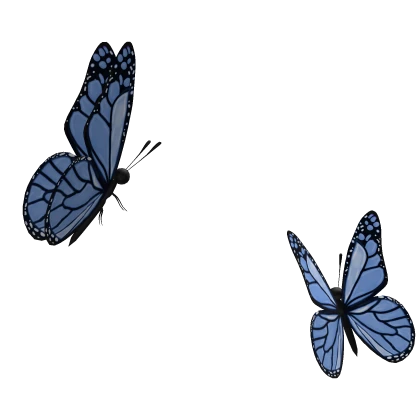 Blue Fluttering Butterflies