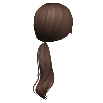 Sleek Low Ponytail in Brown