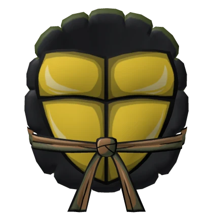 2003 Ninja Shell