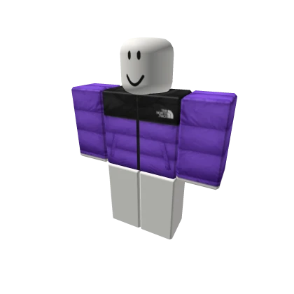 RAINBOW COLORWAYS NORTH FACE Purple Puff Jacket