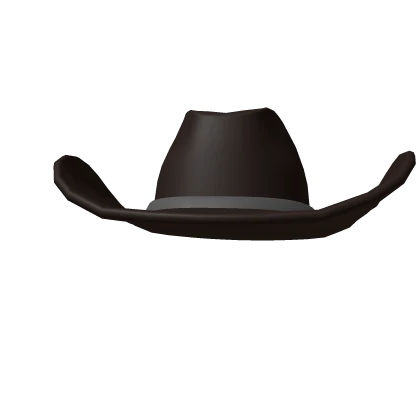 Brown Cowboy Hat