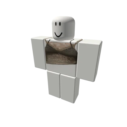v2