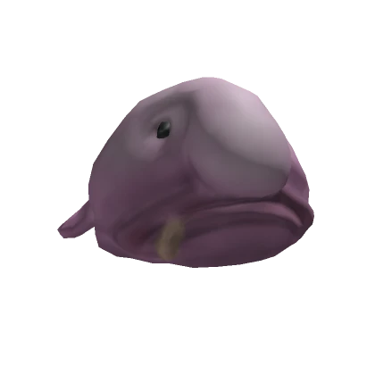 Blobfish Head