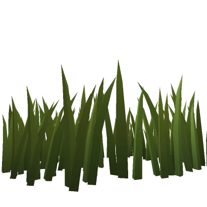 Tall Grass