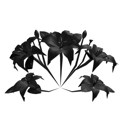 Black Lily Flowers Garden