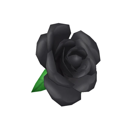 Black Rose in your Hair